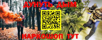 гашик Гусь-Хрустальный
