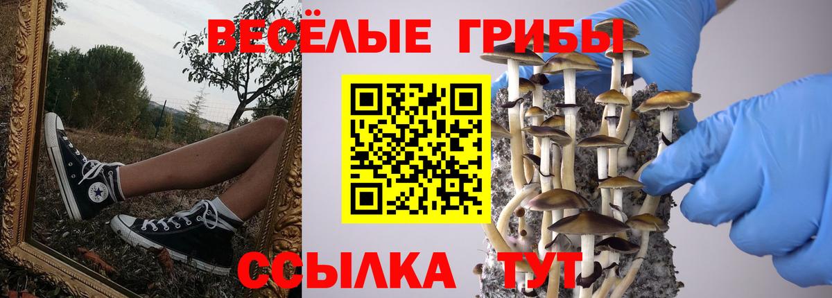 Новотроицк  Галлюциногенные грибы GOLDEN TEACHER  Вход с VPN 